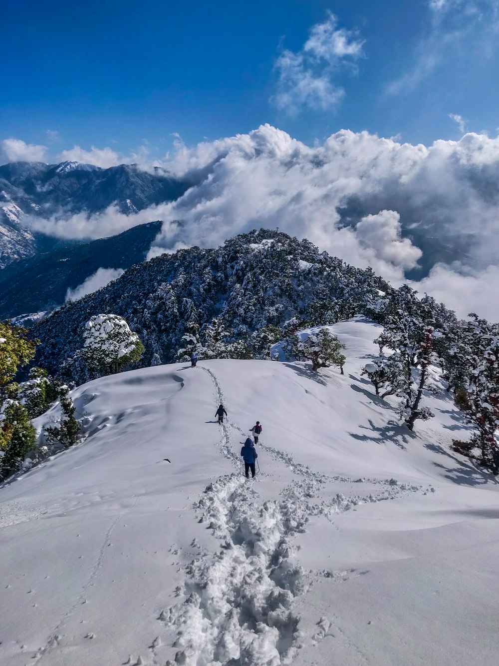 Manali - Scenic hill station